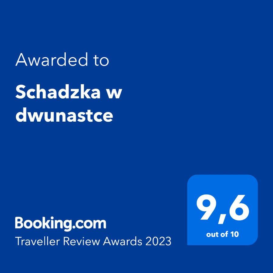 Schadzka W Dwunastce Z Widokiem Na Jezioro Borsk Exterior foto